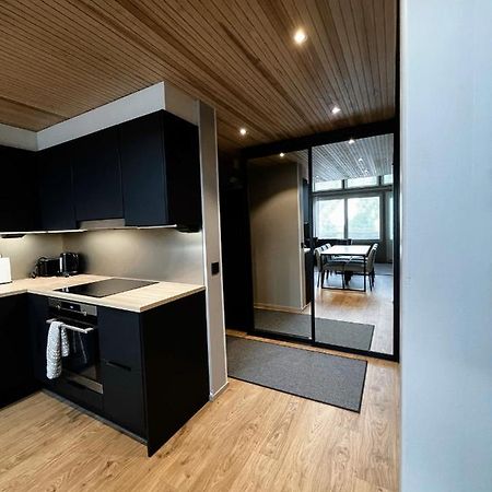 Levin Kunkku B Penthouse Aparthotel Екстериор снимка