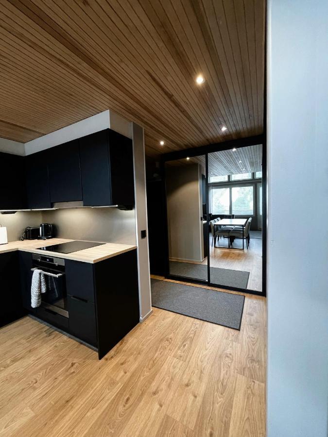 Levin Kunkku B Penthouse Aparthotel Екстериор снимка